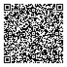 Mosaikashot QR vCard