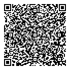 Nes QR vCard