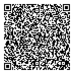 David S Haimovitch & Co QR vCard