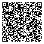 Holand Leasing Ltd QR vCard