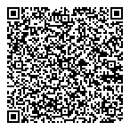 Dms Consulting QR vCard