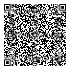 Sphere Vision QR vCard