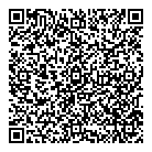 Smartstyle QR vCard