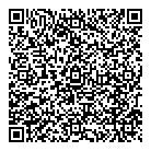 Euro Style QR vCard