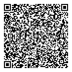 Insymbiosis Discovery QR vCard