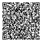 Via Pave QR vCard