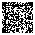 Solar X QR vCard