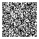 Dollarama QR vCard