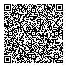 Data Rush QR vCard