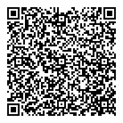 Dollarama QR vCard