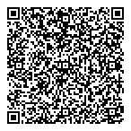 Zandraz Accessoresinc QR vCard