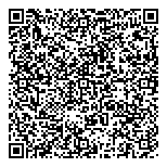 Ballingall Holdings Limited QR vCard