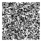 Pulsed Electric QR vCard