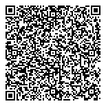 Dillon Consulting Limited QR vCard