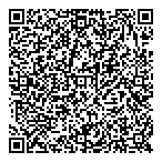 Avalanche Networks QR vCard