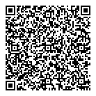 Chanti Extensions QR vCard