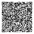 Mostly Mini's QR vCard