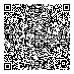 Storvick Special Effects QR vCard