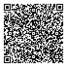 Video India QR vCard