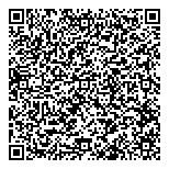 Blue Pine Enterprises Ltd. QR vCard