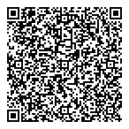 InvisSiemens Group QR vCard