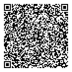 AAA CARPET REPAIRS QR vCard