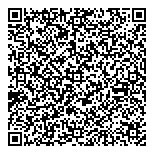 Van City Import Automotive Ltd. QR vCard