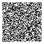 VideomaticaRentals QR vCard