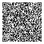 Willpower System QR vCard