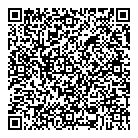 Auto Import QR vCard