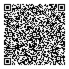 Mr Electric QR vCard