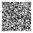 Brian C Wilson QR vCard