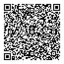 Dennis Wilson QR vCard