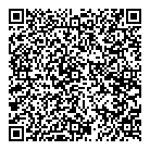 Fast Lane QR vCard