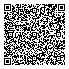 Anweiler P QR vCard