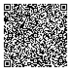 P 2 Automotive Inc QR vCard