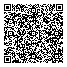 Delux Paint QR vCard