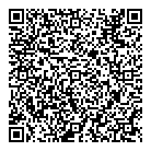 Star Play QR vCard