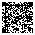 Les Jewellery QR vCard