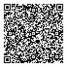 M & M Import QR vCard