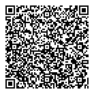 Injections QR vCard