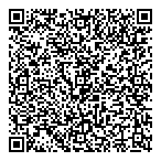 Lies Electric Ltd QR vCard