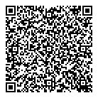 Hamzawholesale QR vCard