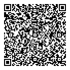 Tekle Tekeste QR vCard