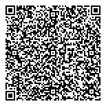 Vianet Internet Solutions QR vCard