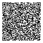 Lindsay Pontiac QR vCard