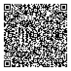 Delay Consulting QR vCard