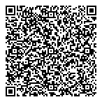 Angelis Consulting QR vCard