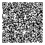 Financial Strategy Solutions QR vCard