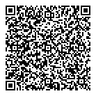 SmartStyle QR vCard